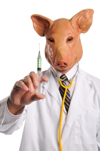 Doctor With Pig 's Head Holding Syringe — стоковое фото