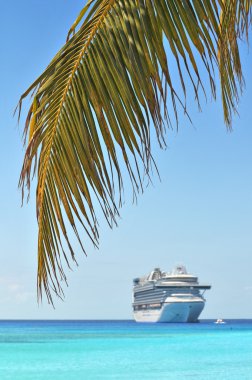 palmiye ağacı ile cruise gemisi arka planda