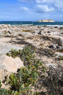 mercan kayalık plaj