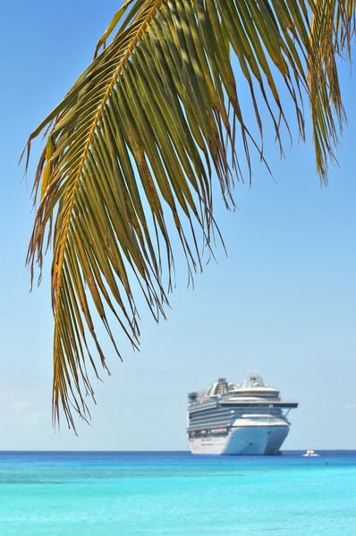 Palmboom met cruise schip op achtergrond — Stockfoto