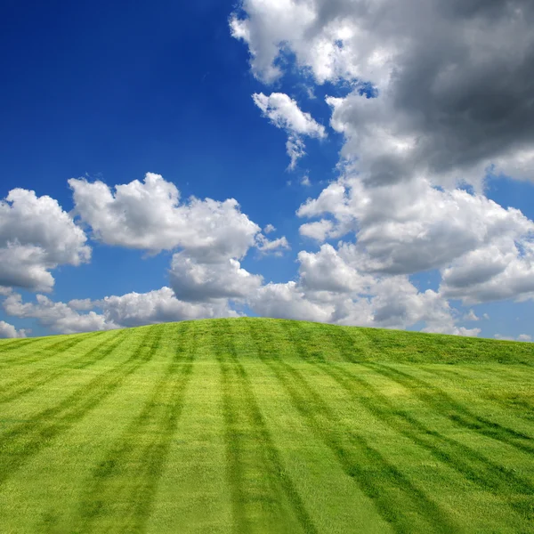 Campo verde y nubes — Foto de Stock