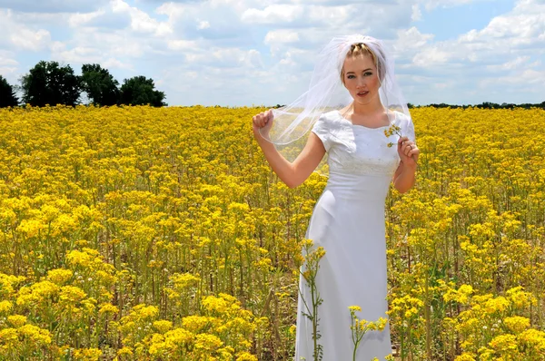 Mooie bruid in een gebied van bloemen — Stockfoto