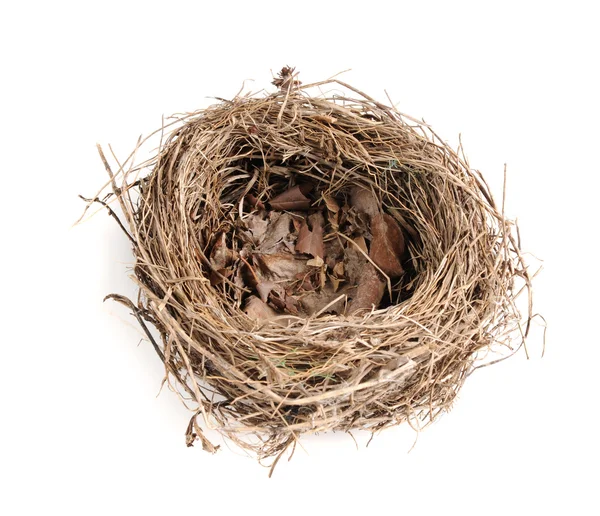 Bird's Nest op een witte achtergrond — Stockfoto