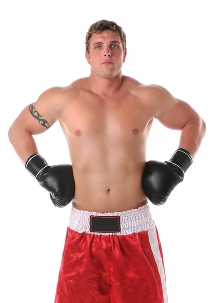 Muscular Boxer With Black Gloves — Stock Photo, Image