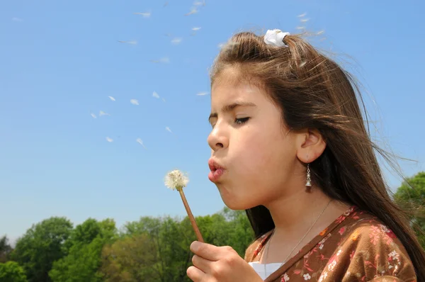 Молодая девушка, дующая на семена — стоковое фото