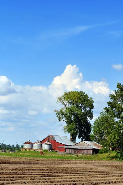 Country Farm — Stock Photo, Image