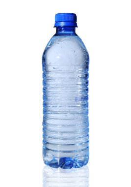Şişe Su