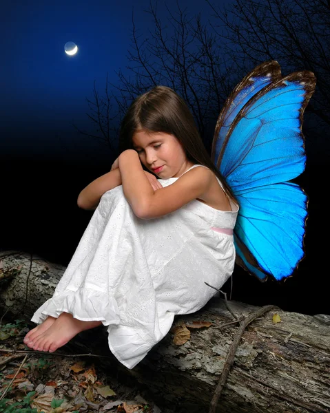 Little Fairy — Stock Photo, Image