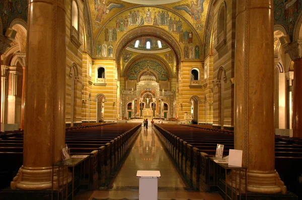 Interiören i saint louis cathedral — Stockfoto