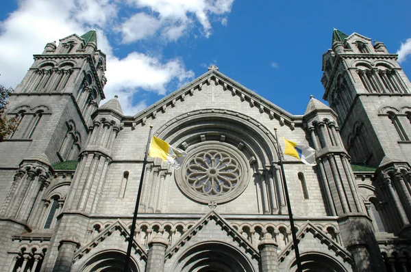 Cattedrale di Saint Louis — Foto Stock