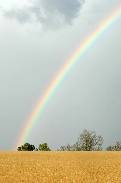 Arco iris —  Fotos de Stock