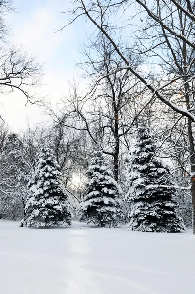 Zimowy pejzaż z światło — Zdjęcie stockowe
