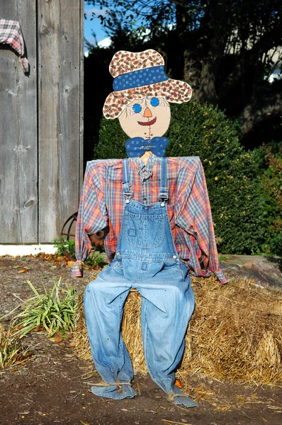 Scarecrow Sitting — Stock fotografie
