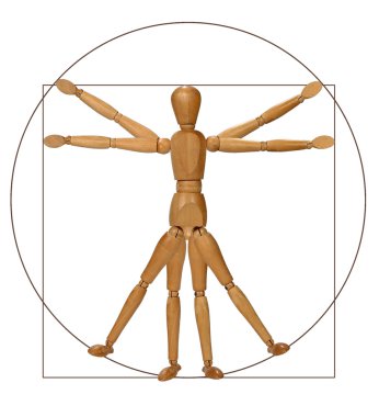Vitruvius Adamı (bir Modern yorumu)