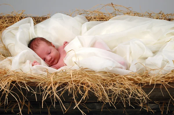 Baby Jezus in kribbe — Stockfoto