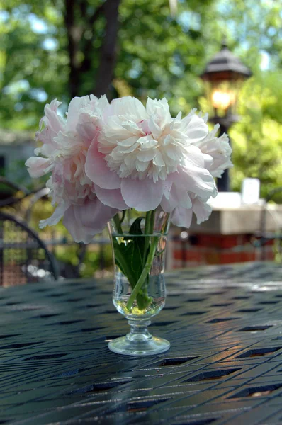Peonies on a Table — Stock Photo, Image