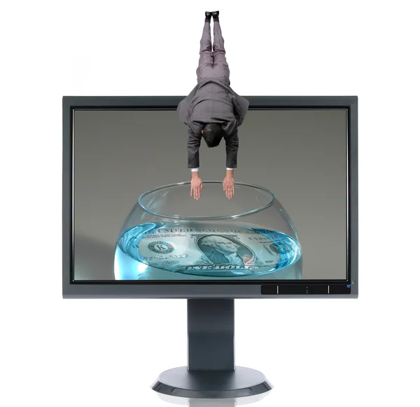 LCD Monitor and Diver