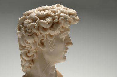 çoğaltma David profili görüntüle