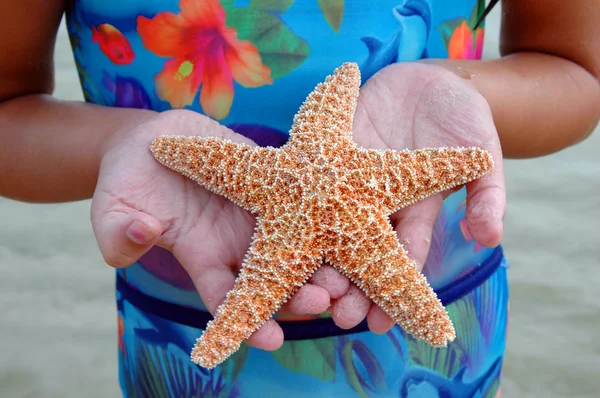 Girl Holding Starfish — Stock Photo, Image
