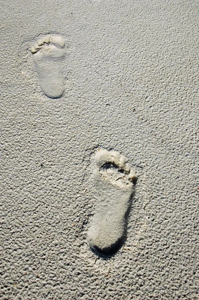 Kumda ayak izleri var.