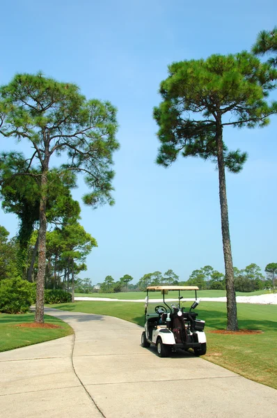 Campo de golfe — Fotografia de Stock