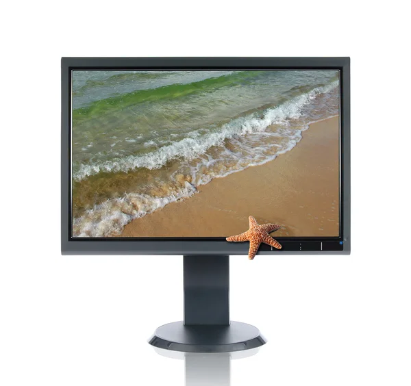 LCD-monitor en starfish — Stockfoto