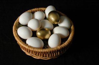 iki altın yumurtlayan