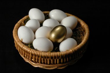 altın yumurta