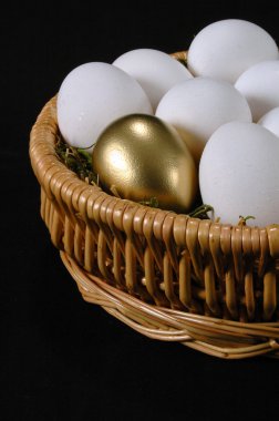altın yumurta