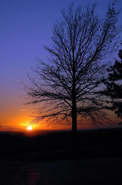 Fantasía al atardecer — Foto de Stock