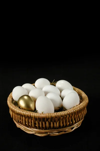 Золоте яйце — стокове фото