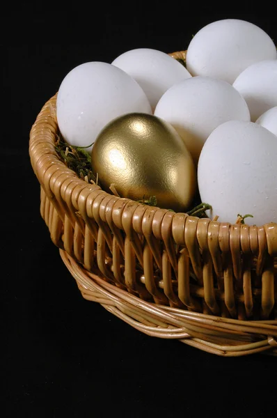 Золоте яйце — стокове фото