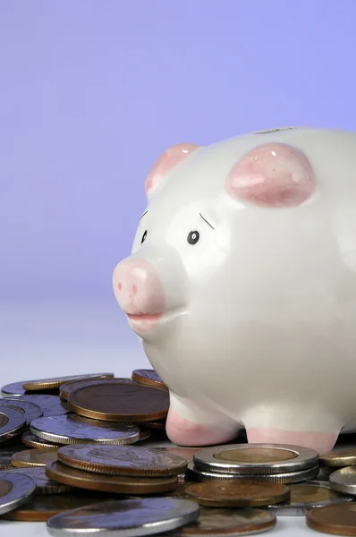 Piggy Bank and World Coins — Stock Photo, Image