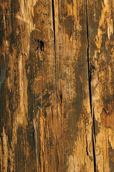 Grungy hout in waarschuwen kleuren — Stockfoto