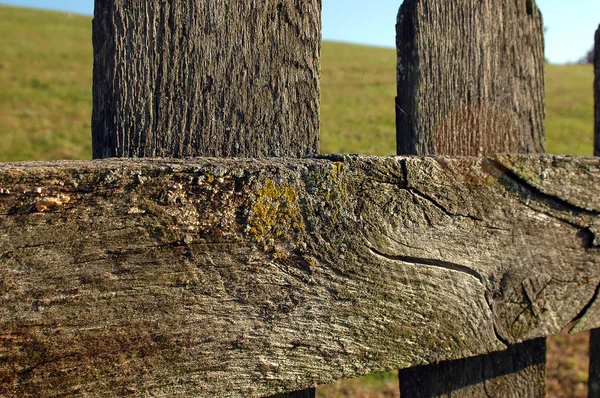 Recinzione in legno Close-up — Foto Stock