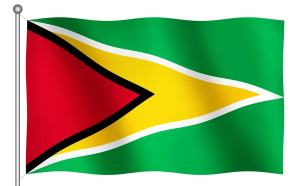 Flagge von Guyana geschwenkt — Stockfoto