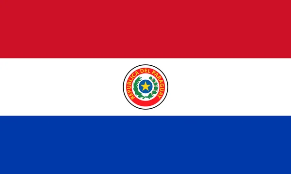 Vlag van Paraguay (voorzijde) — Stockfoto