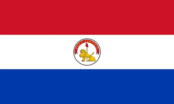 Bandeira do Paraguai (Inverter ) — Fotografia de Stock