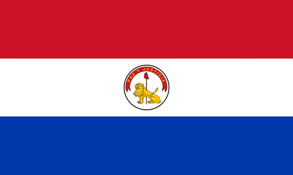 Bendera Paraguay (Kebalikan ) — Stok Foto