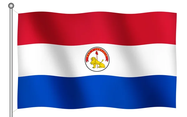Vlajka Paraguaye mává (opačně) — Stock fotografie