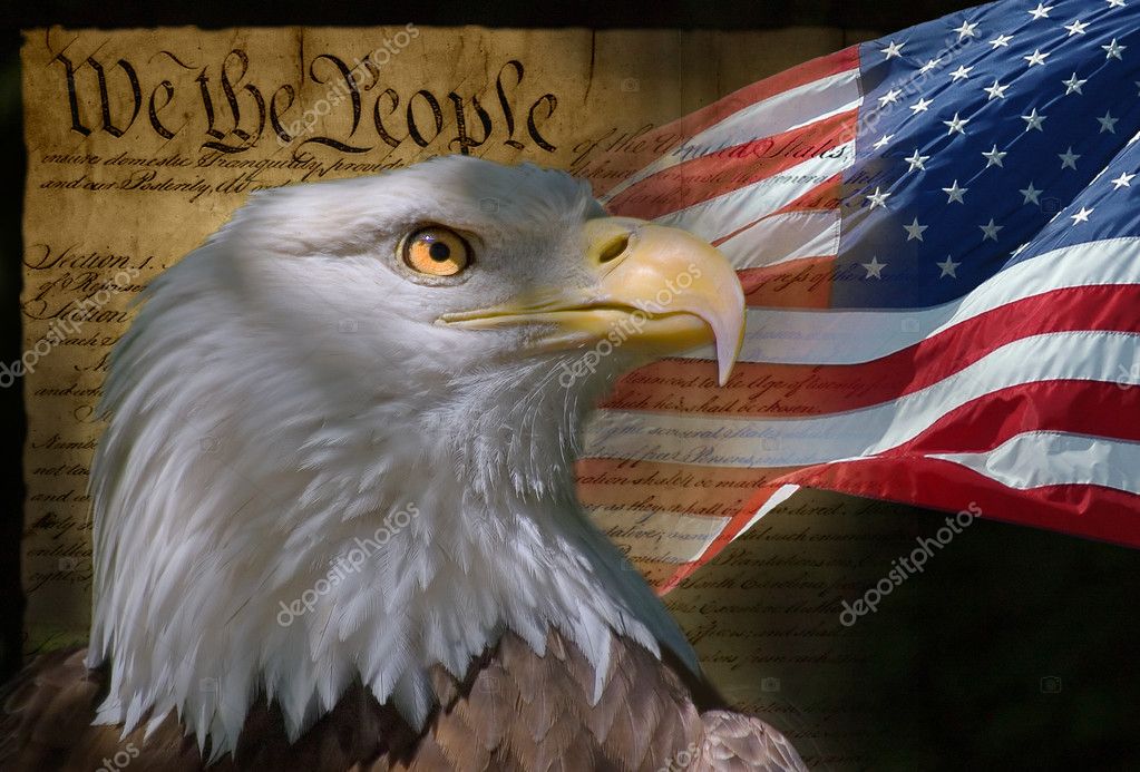 Bandera americana con águila fotos de stock, imágenes de Bandera americana  con águila sin royalties | Depositphotos