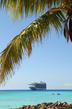 palmiye ağacı ve cruise gemi
