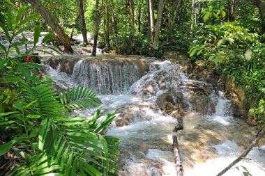 tropik ormandaki nehir şelale