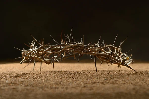 Crown of Thorns — Stock Photo, Image