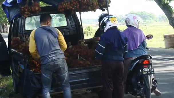 Transacciones Vendedor Comprador Los Mercados Tradicionales Compre Mercados Locales Illust — Vídeo de stock