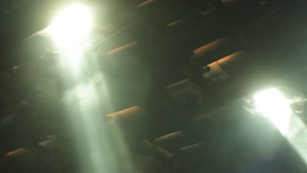 Rayo Luz Que Pasa Través Los Árboles Hojas Vídeo — Vídeo de stock