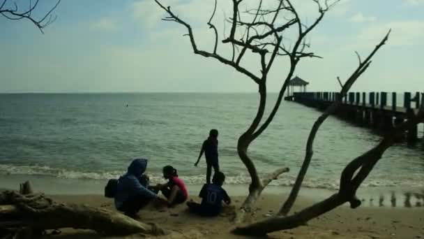 Діти Які Бавляться Пляжі Соснами Задньому Плані Рембанг Центральна Ява — стокове відео