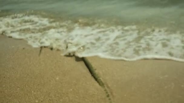 Vídeo Olas Playa Fuera Foco Borroso — Vídeo de stock