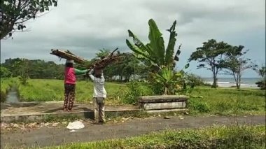Yakacak odun arayan iki yaşlı kadın, Jembrana, Bali, 30 Eylül 2021