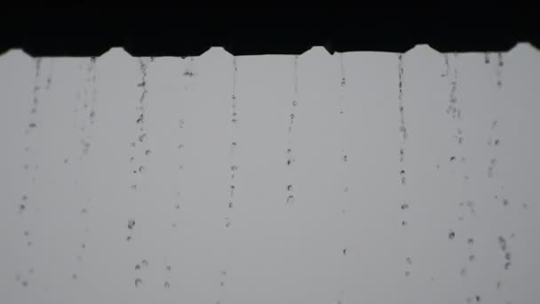 Rainwater Dripping Roof Downpour Countryside Humid Climate Raindrops Falling Wooden — Vídeo de Stock